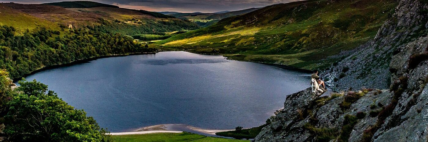 The Wicklow Calendar banner