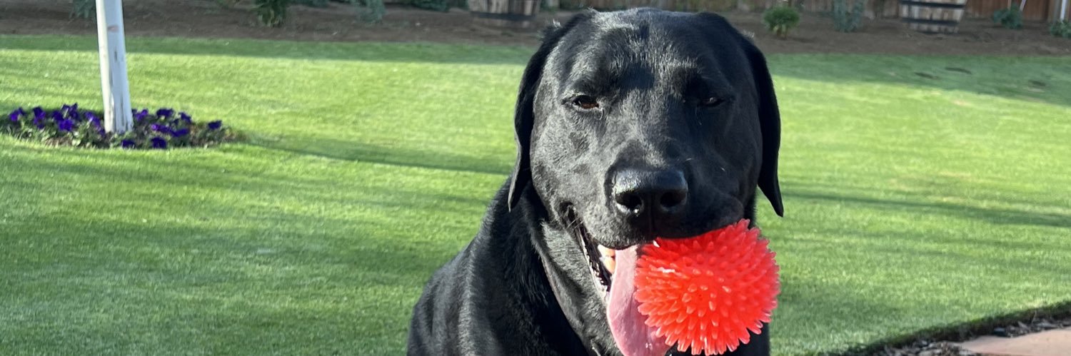 beetbailey's profile banner image