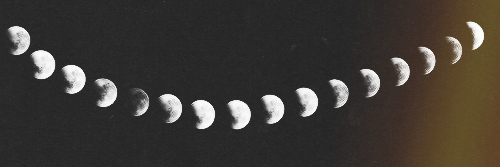 larissa barbosa banner