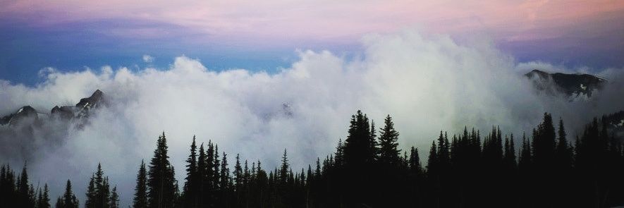 Mini_Izzy_'s profile banner image