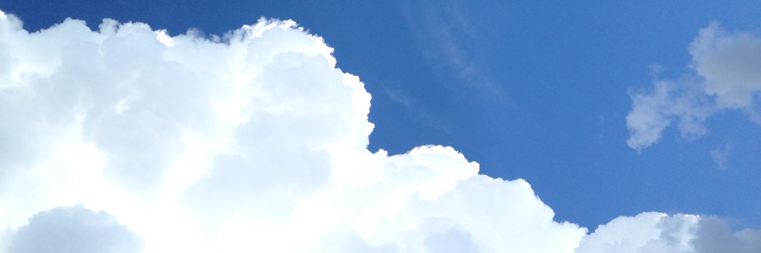 SarahtheGreat__'s profile banner image
