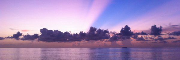 pdv84 Profile Banner