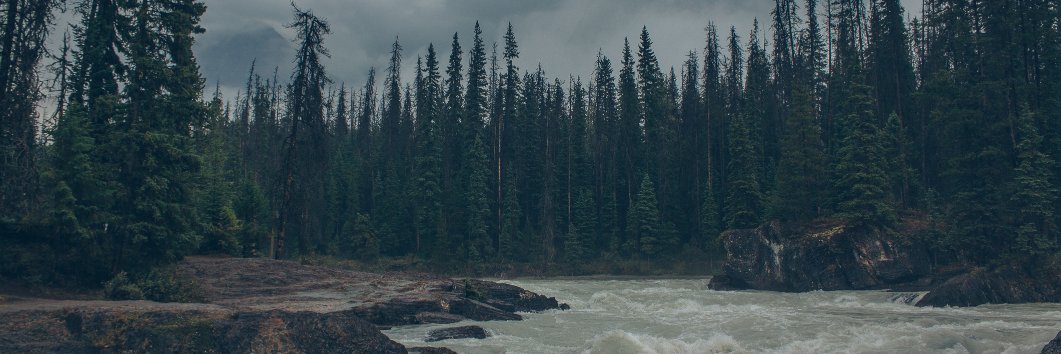 _lumberjef's profile banner image