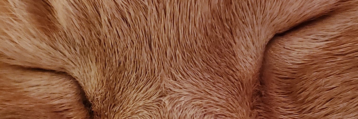 Smutinator's profile banner image