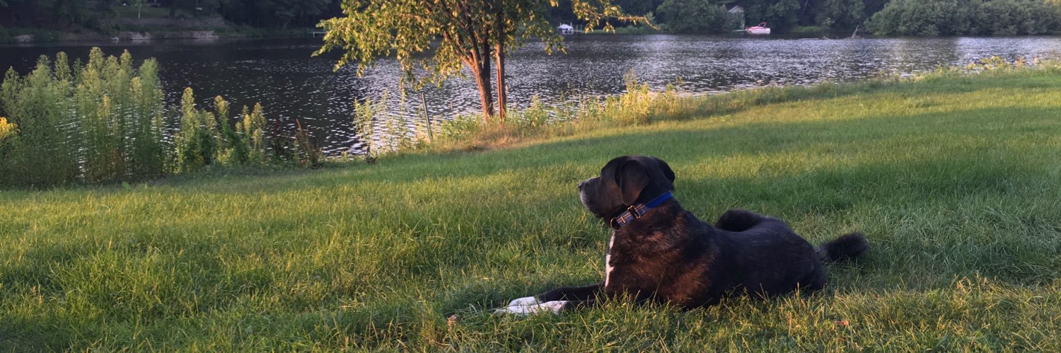 LindseyKNovak's profile banner image