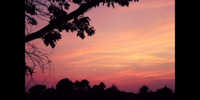 a17schaefer's profile banner image