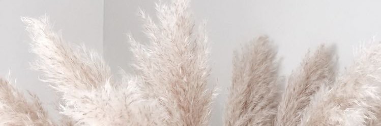 chloecovell's profile banner image