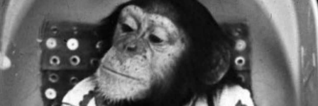 fifthwisemonkey's profile banner image