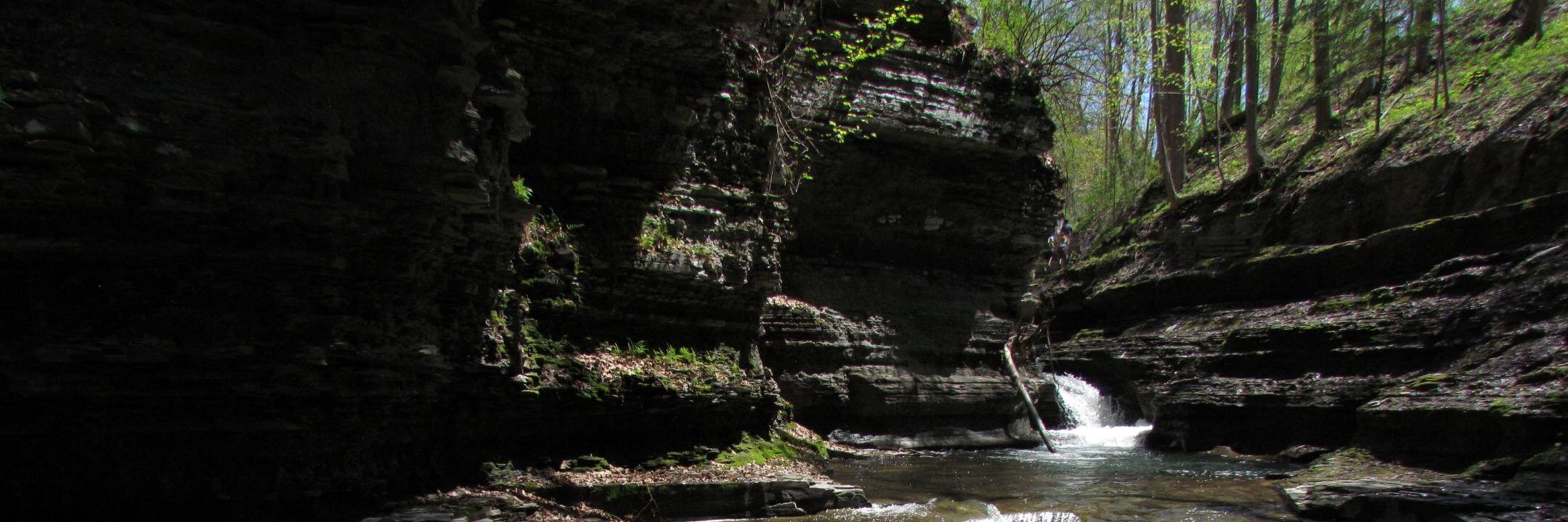 Kelly Schrank banner