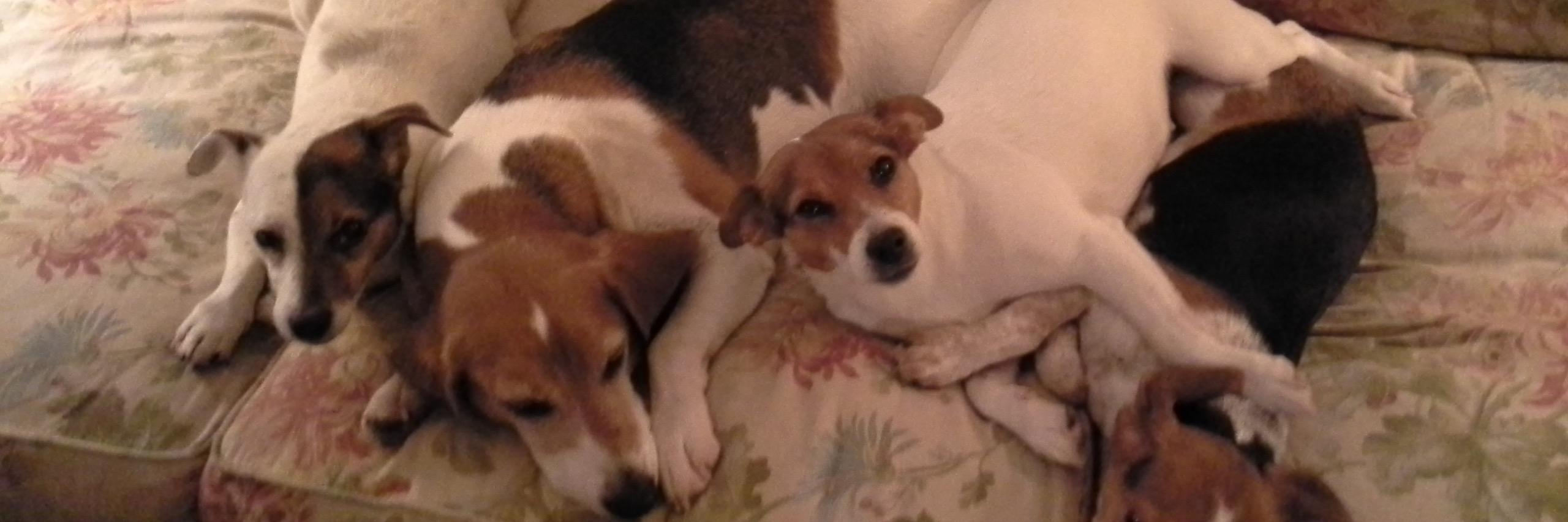 Yuri Vladimirovich Andropov (Sviridov) banner