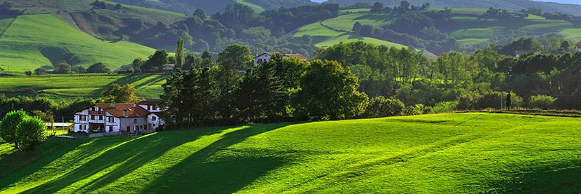 DDaNaD's profile banner image