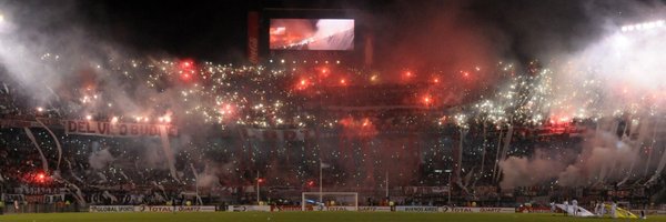 danicisnerocarp's profile banner image