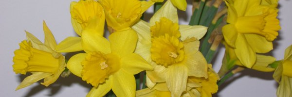 HannahMacJac Profile Banner