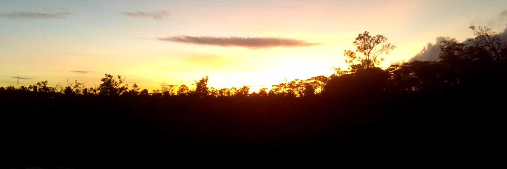 ꦛꦲꦂ banner
