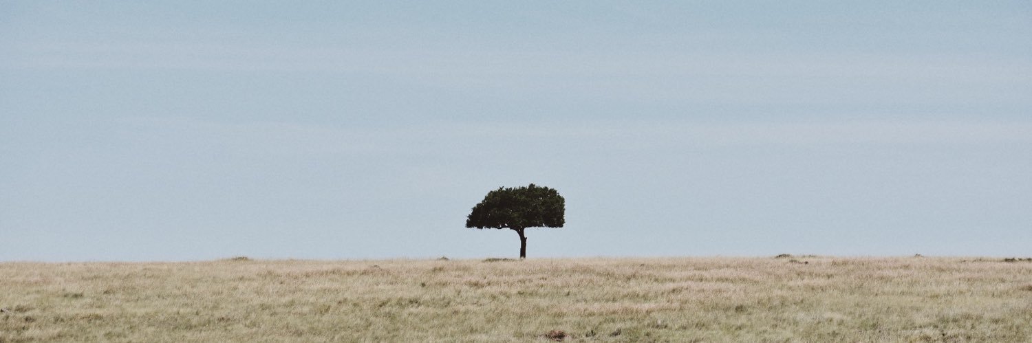 dianapozas's profile banner image