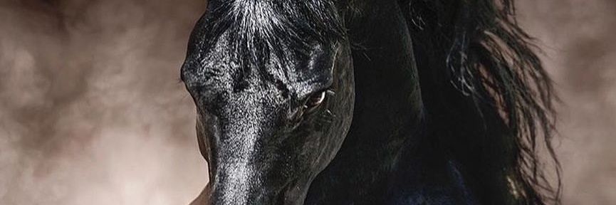 robomid's profile banner image