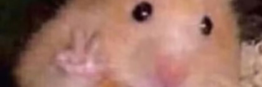 holisticweirdo's profile banner image