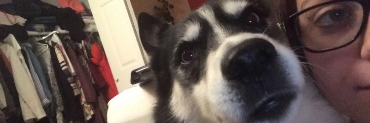 m_sabbb's profile banner image