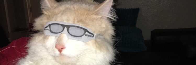 kbockleman's profile banner image