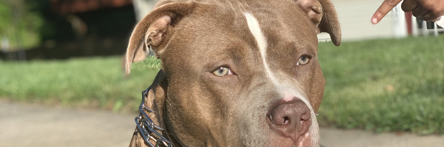 sumthen_slight3's profile banner image