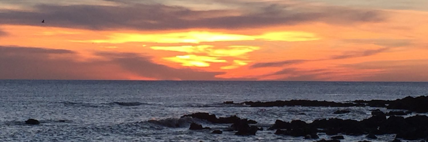 sharon simpson banner