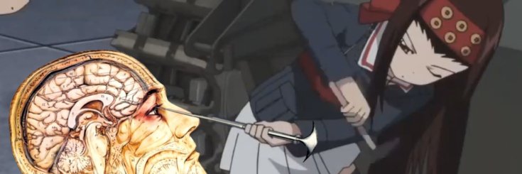Colsjin banner