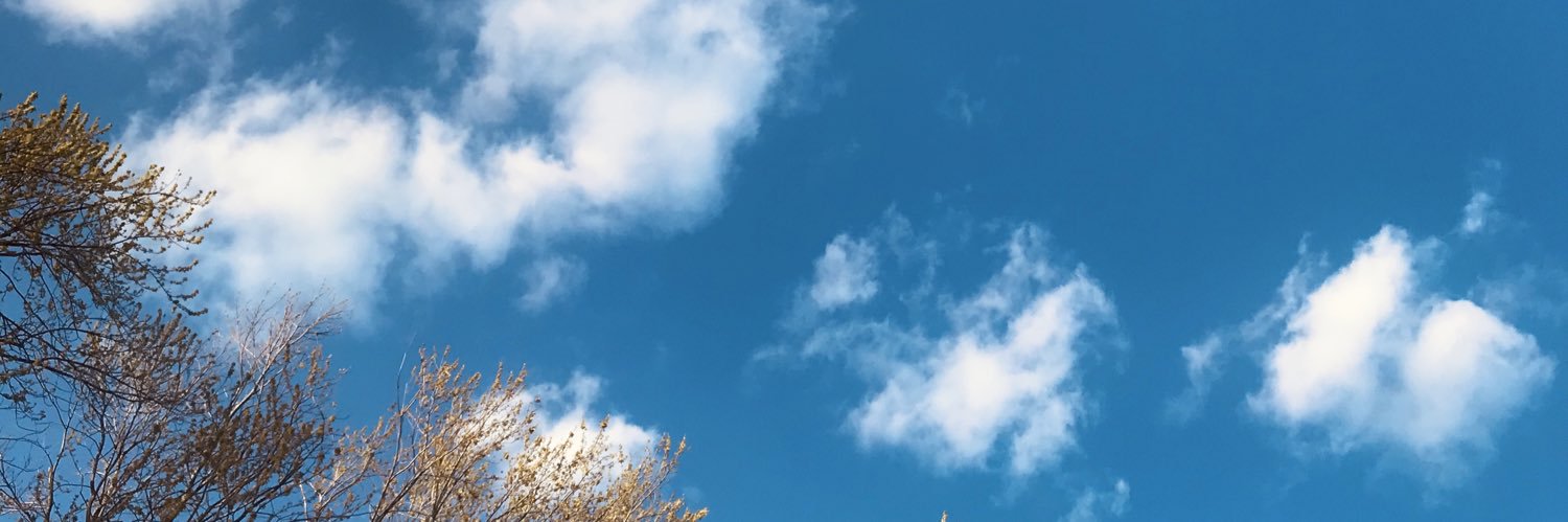Sofia K banner