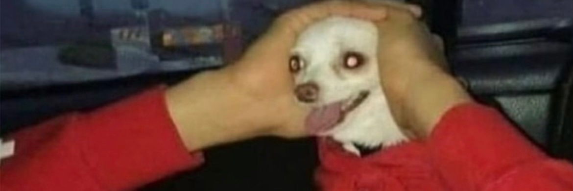 KAustinC's profile banner image