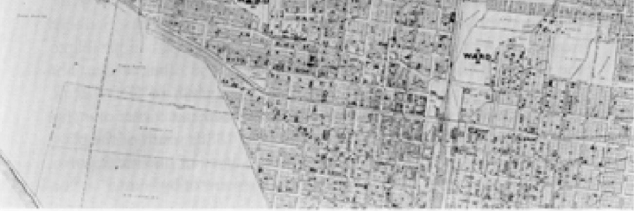 Christopher Lippitt banner