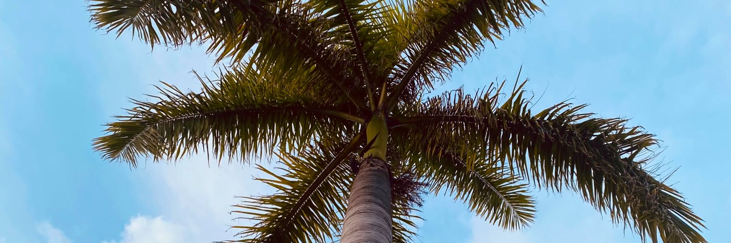KaylaaRaeeee's profile banner image