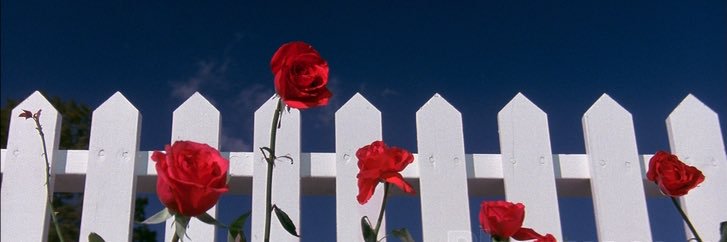 Iaterbabe's profile banner image