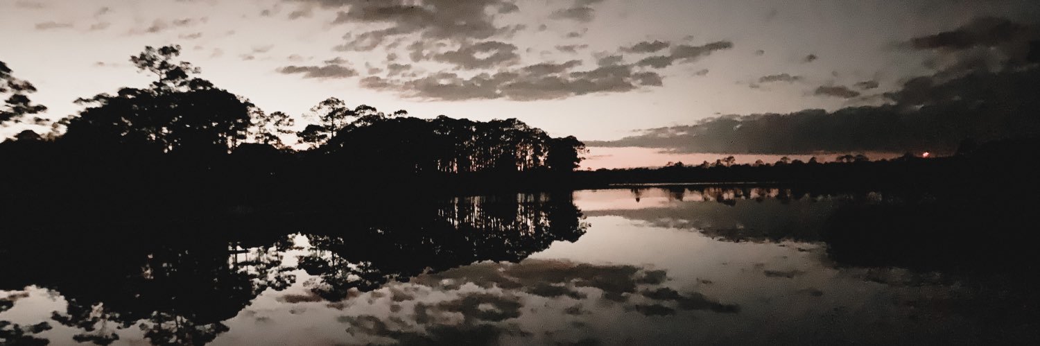 Madison Browder banner