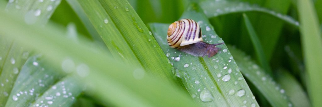 LGartenblog's profile banner image