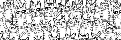 Sanika16's profile banner image