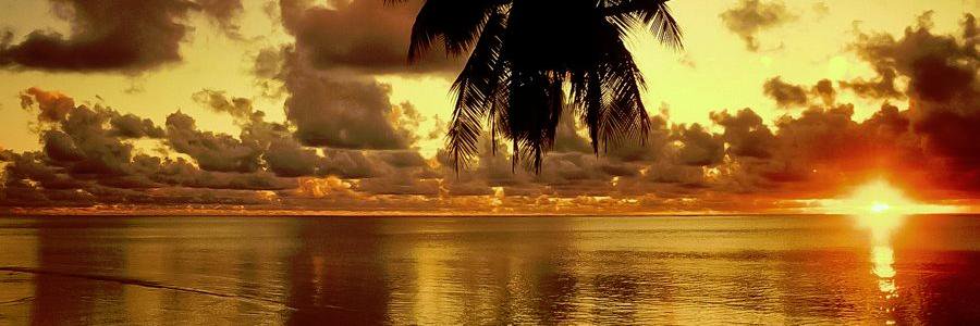 azamji06's profile banner image