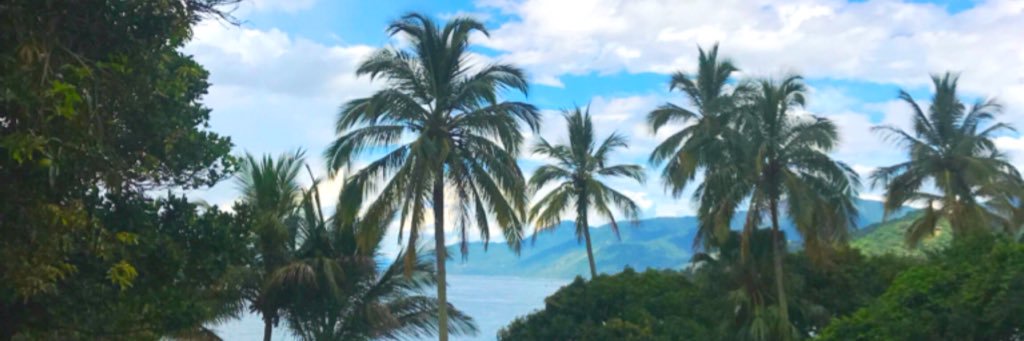 DaniBris's profile banner image