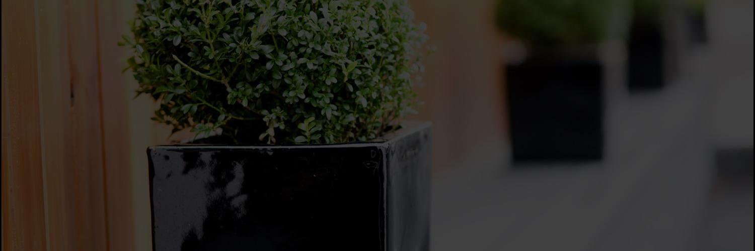 RNNSocial's profile banner image