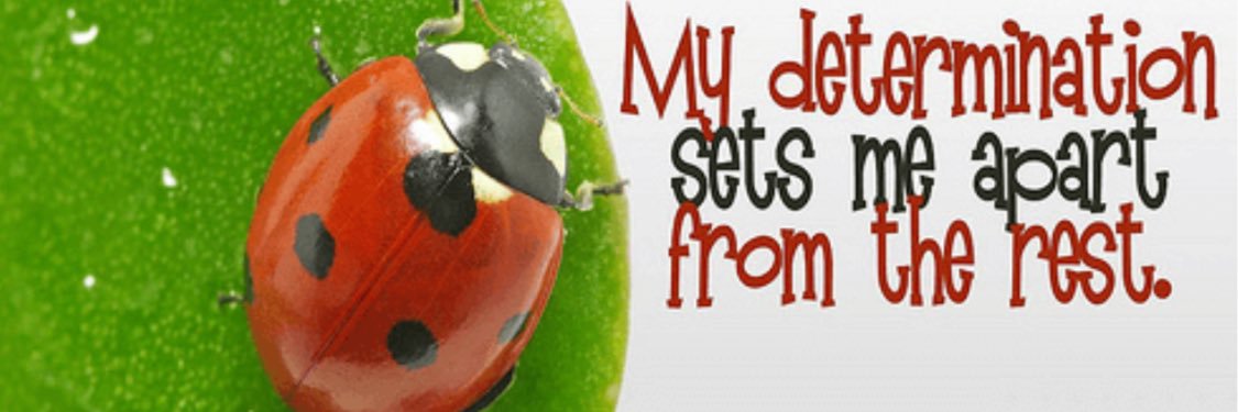 Advanced Academics @CES banner