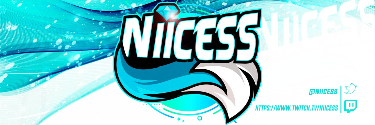 NiCess banner