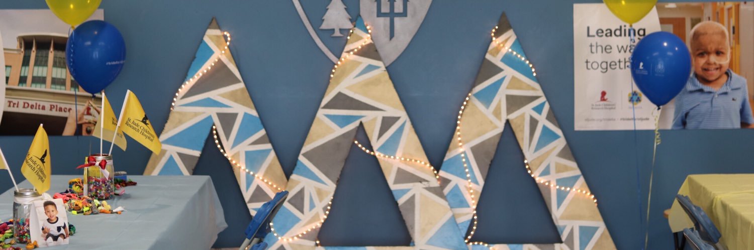 Tri Delta banner