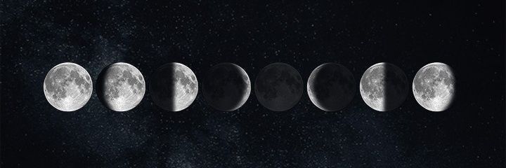 silkiesmoo's profile banner image