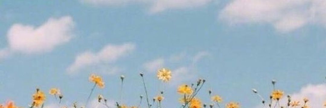Sphilla's profile banner image