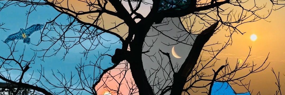 Mike0809's profile banner image