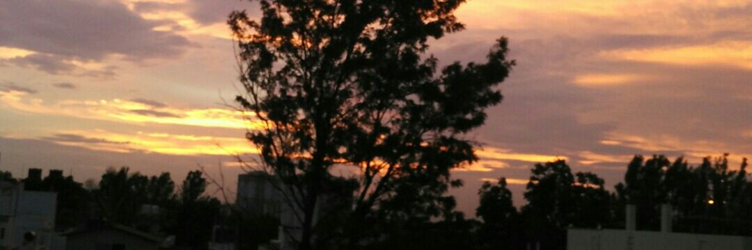 Moumita1's profile banner image