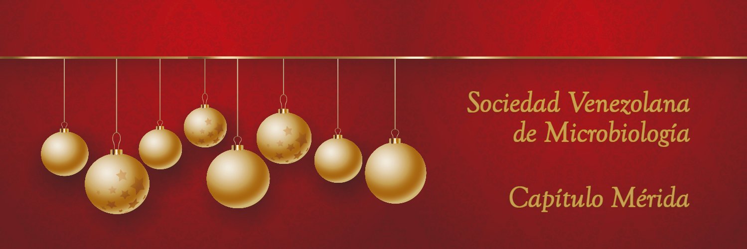 SVM Capítulo Mérida banner