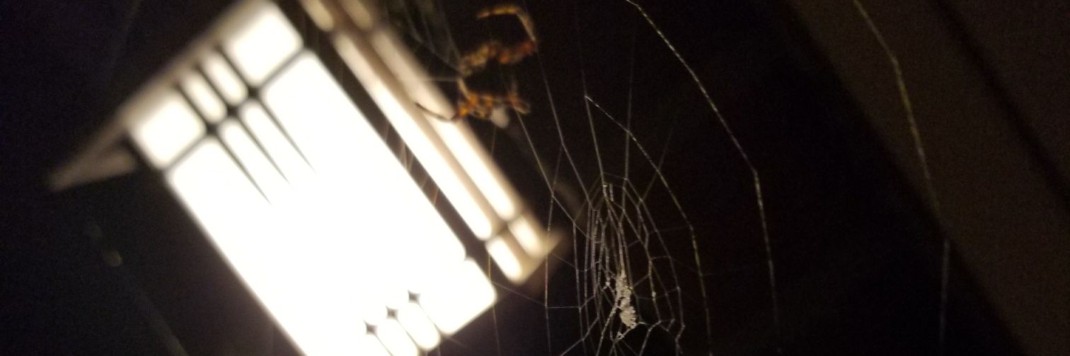 MCrawfish's profile banner image