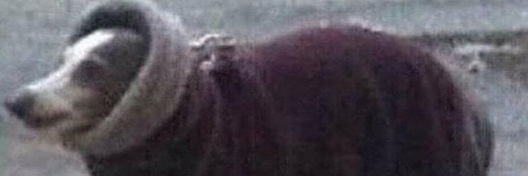 adamister25's profile banner image