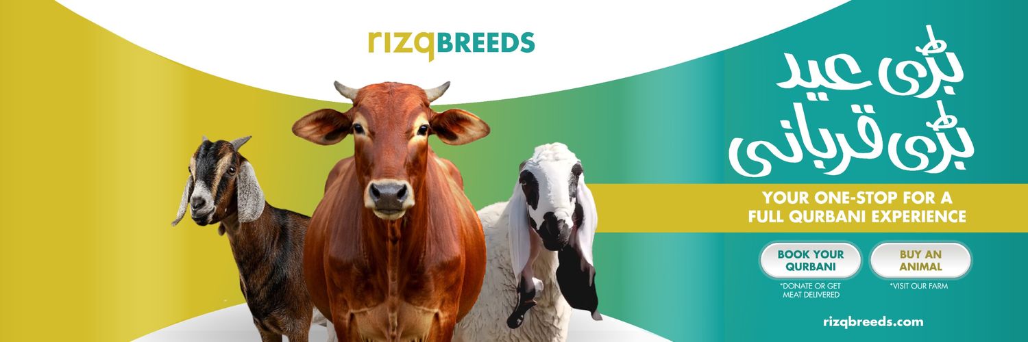 rizqorg's profile banner image