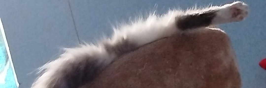 Kevin_At7's profile banner image