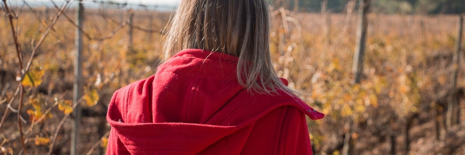 〽️arta🔆 banner